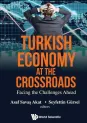 Turkish Economy at the Crossroads